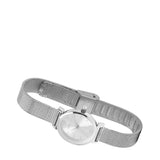 Miller Mesh Strap Analog Watch (Silver)