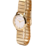 Aireen Gold Metal Watch (Gold)