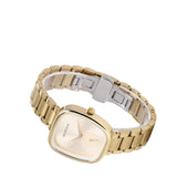 Nova Gold Mesh Analog Watch (Gold)