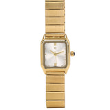 Dana Gold Stainless Steel Analog Watch (Gold)