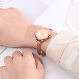 Vera Mesh Strap Analog Watch (Rose Gold)