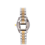 Darcy Metal Strap Analog Watch (Silver/Gold)