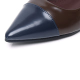 Emilia Two tone Flats & Ballerina (Espresso)