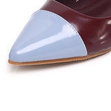 Emilia Two tone Flats & Ballerina (Maroon)