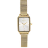 Zara Gold Mesh Analogue Watch (Gold)