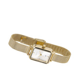 Zara Gold Mesh Analogue Watch (Gold)