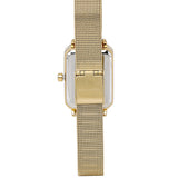 Zara Gold Mesh Analogue Watch (Gold)