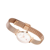 Be My Love  Rose Gold Mesh Analogue Watch (Silver)